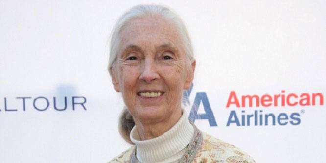 Jane Goodall Age, Birthday, Birthplace, Bio, Zodiac &  Family