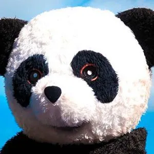 Panda Aventurero birthday on March 23, 1998